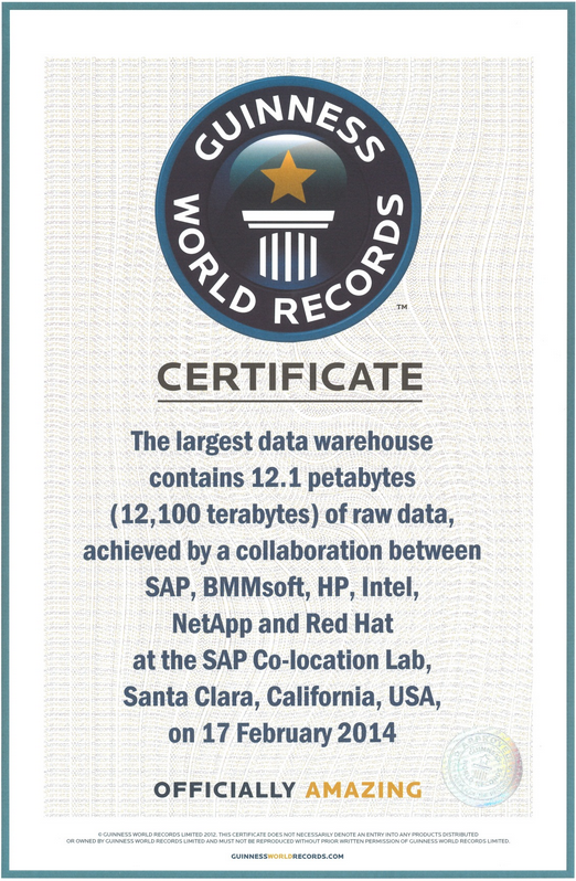 Guinness World Records certificate for largest data warehouse